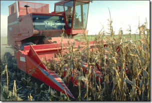 corn_harvester