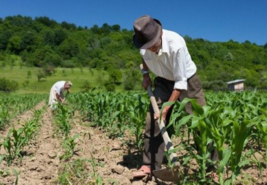 agricultores