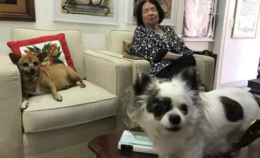 Nélida e suas cachorrinhas