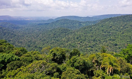 Amazônia_TV Brasil