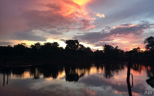 Nascer do Sol no Cerrado