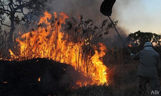 incendios_florestais