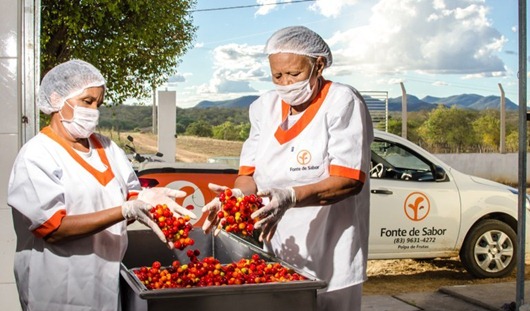 fruticultura_Pombal