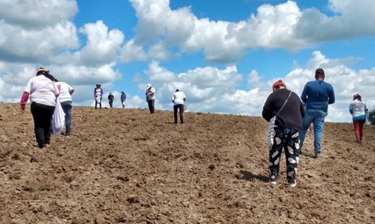 Projeto Agrovila Águas de Acauã