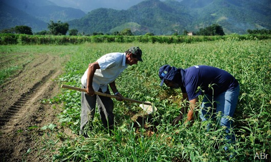 agricultura_familiar