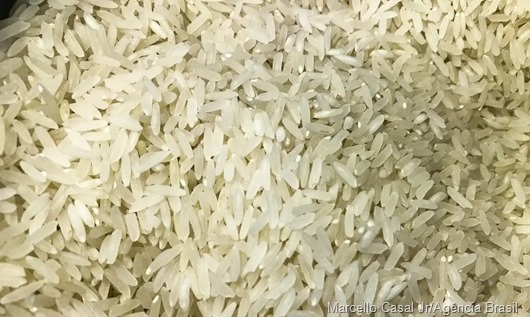 arroz_ABr