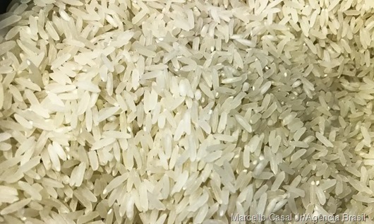 arroz_ABr-1