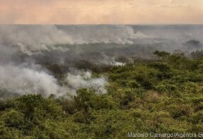Pantanal poderá ter crise hídrica histórica em 2024, aponta estudo