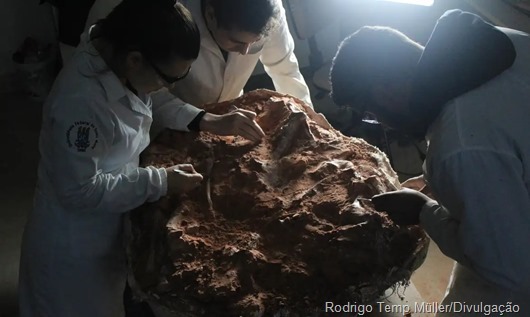 trabalho_de_preparacao_do_fossil_de_sao_joao_do_polesine_por_rodrigo_temp_muller