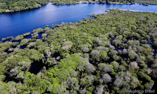 Amazônia