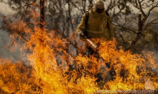 incendio-florestal-bsb2_mcamgo_