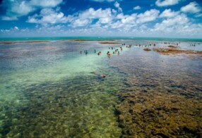 Paraíba no top 10 dos destinos imperdíveis para os feriados de novembro