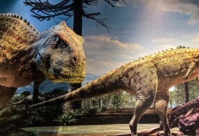 Vale dos Dinossauros fecha para visitação neste domingo (6) e reabre na próxima terça-feira (8)